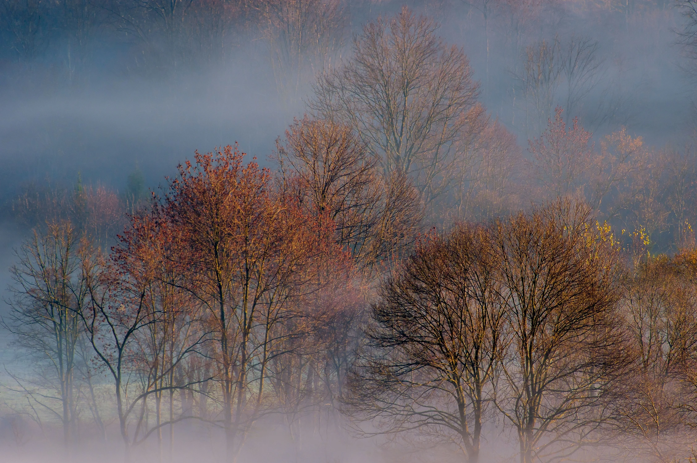 W bieszczadzkich mgłach
