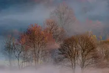 W bieszczadzkich mgłach