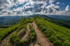 Na bieszczadzkim szlaku