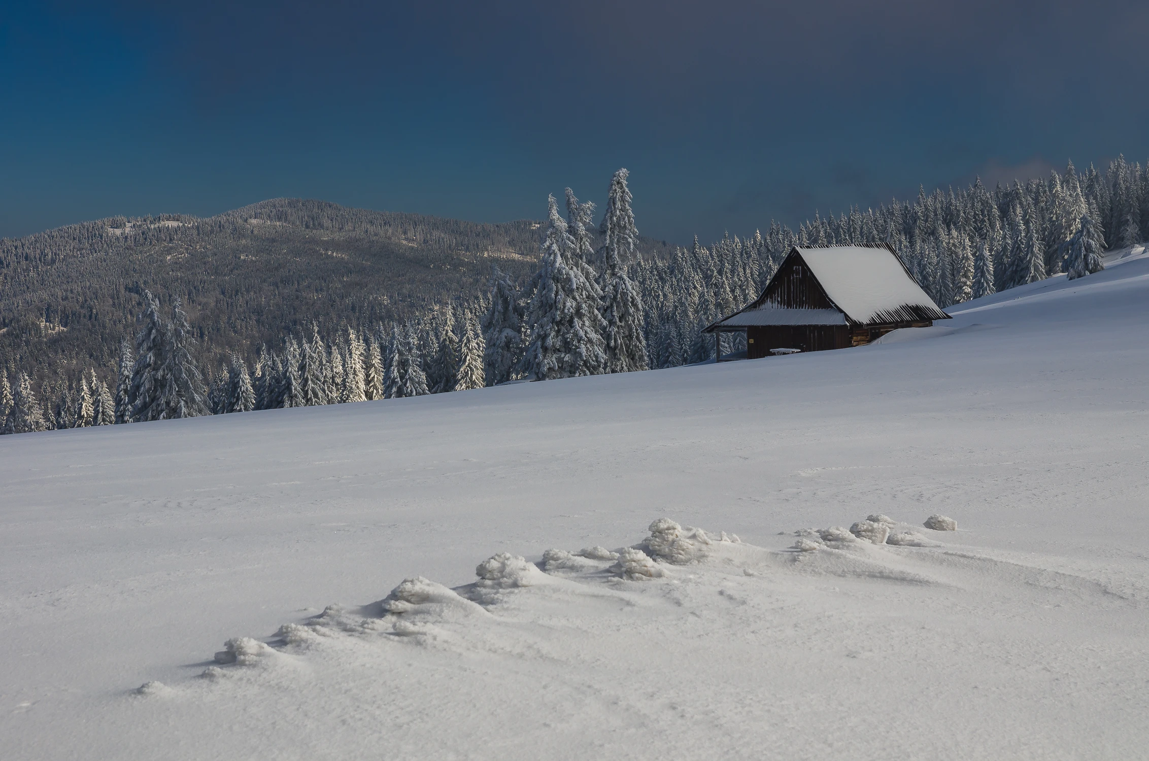 Wesołych świąt! :)