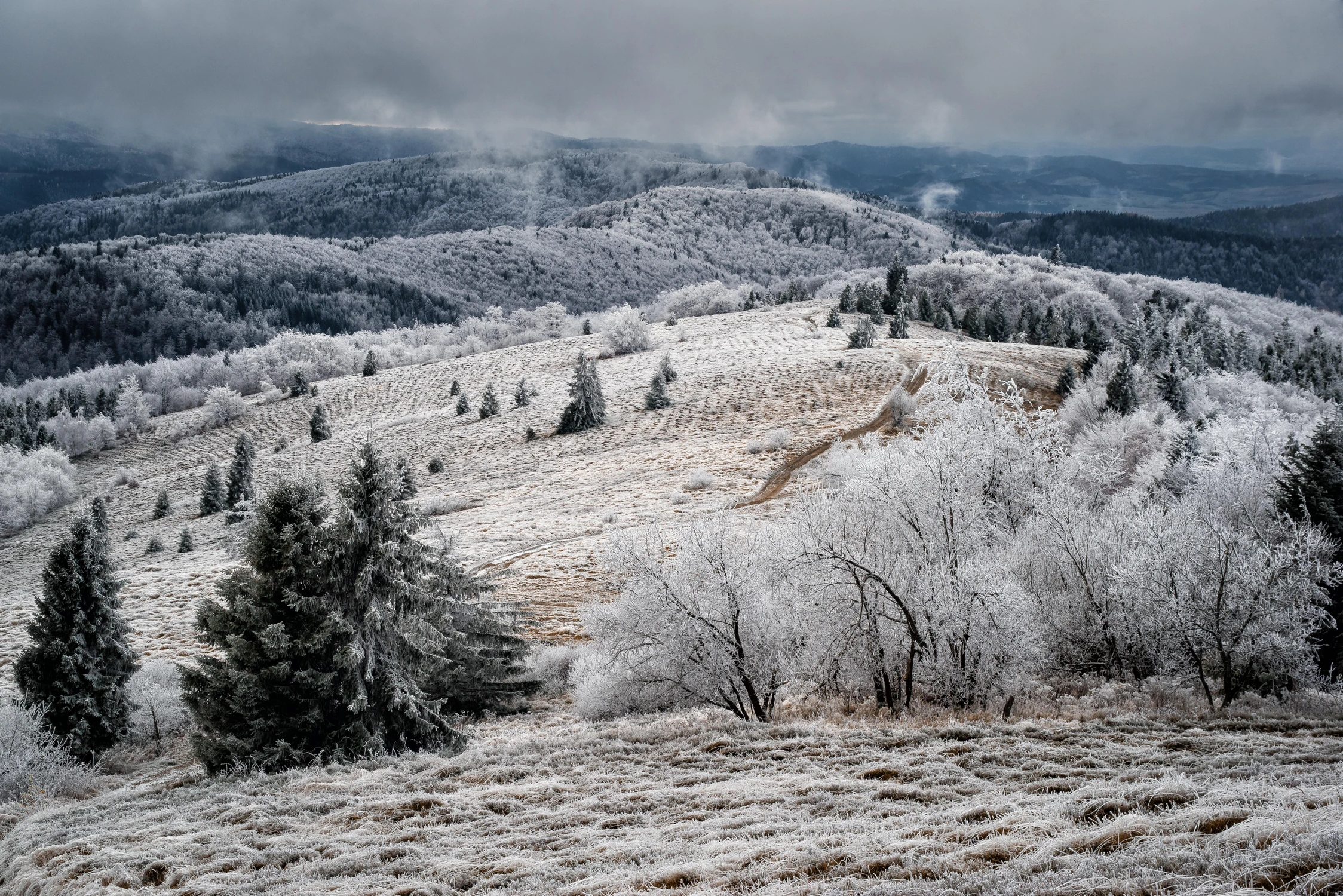 Z Polany Stumorgowej