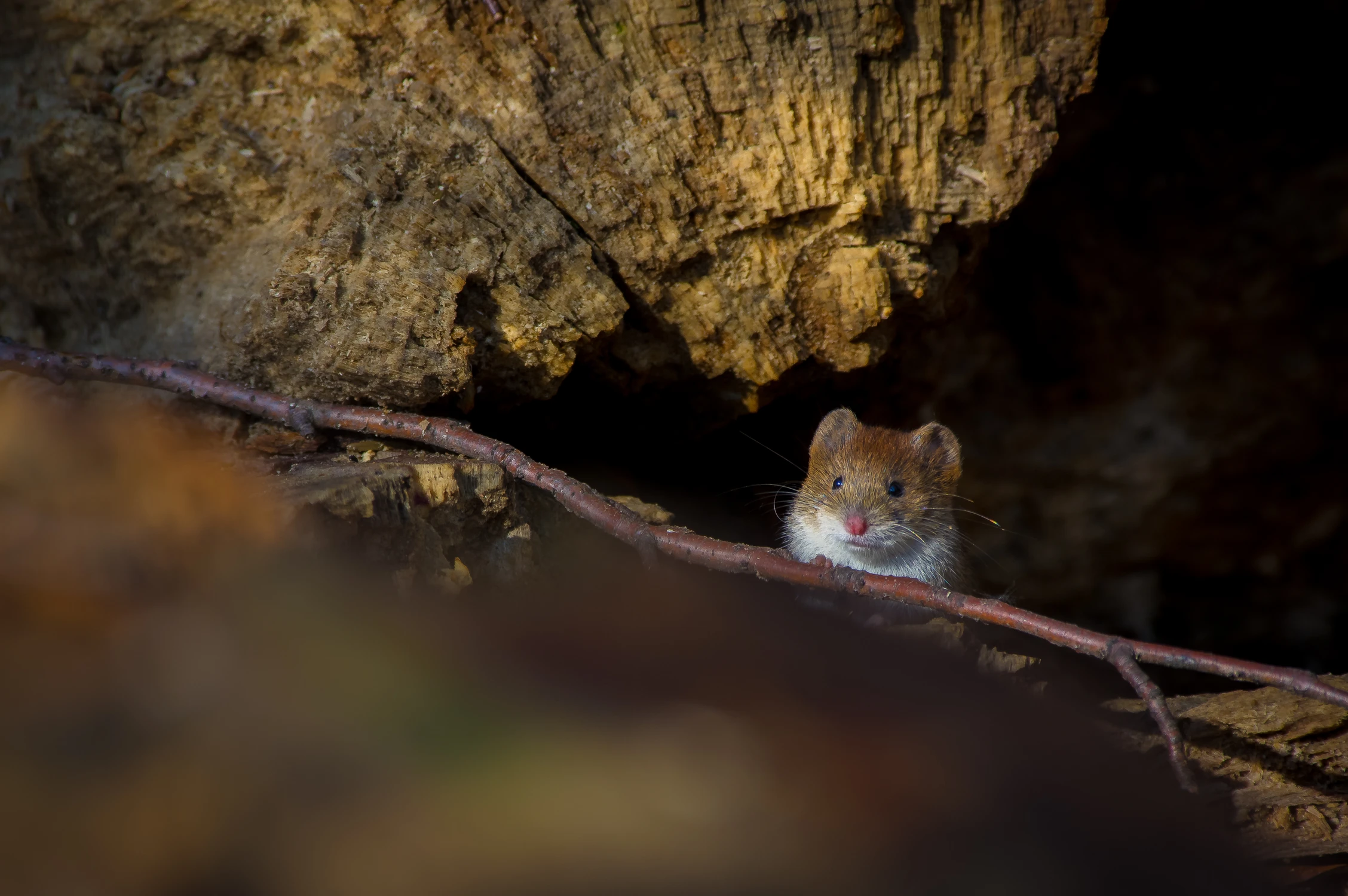 Ooo, jaki ładny dzionek! ;)