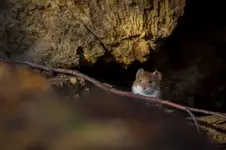 Ooo, jaki ładny dzionek! ;)