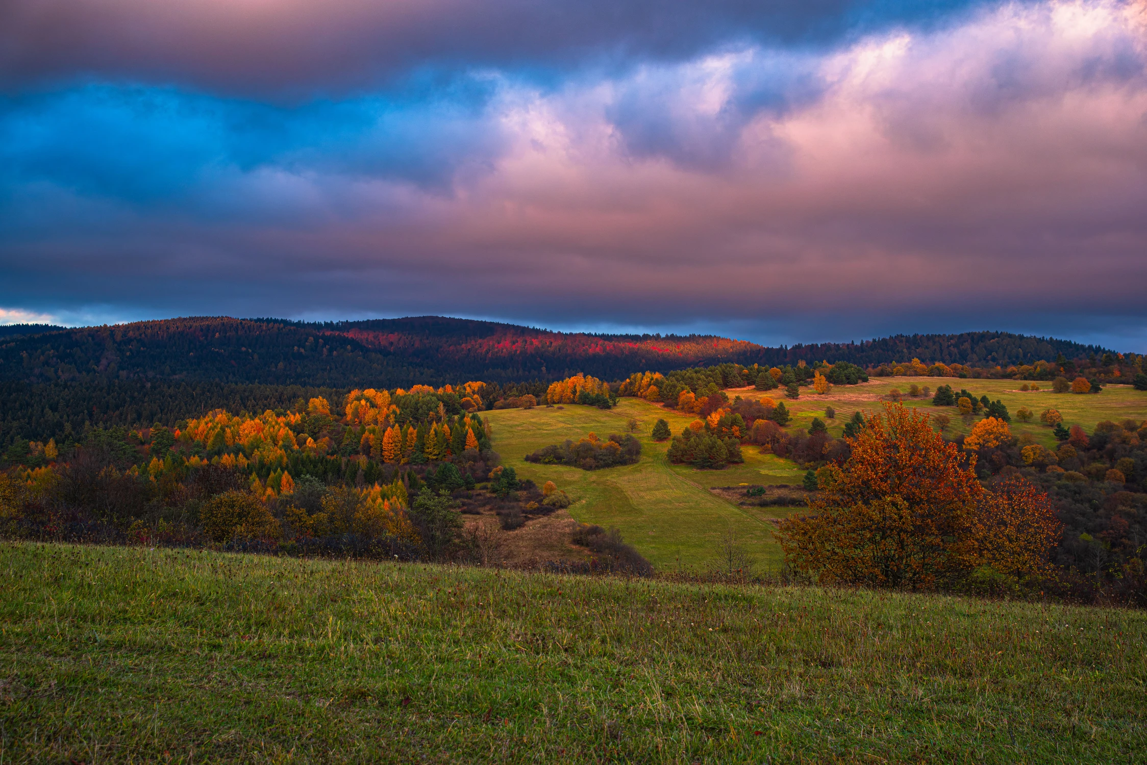 Poświeciło przed zachodem
