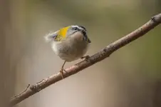 Taki jestem zwariowany. ;)