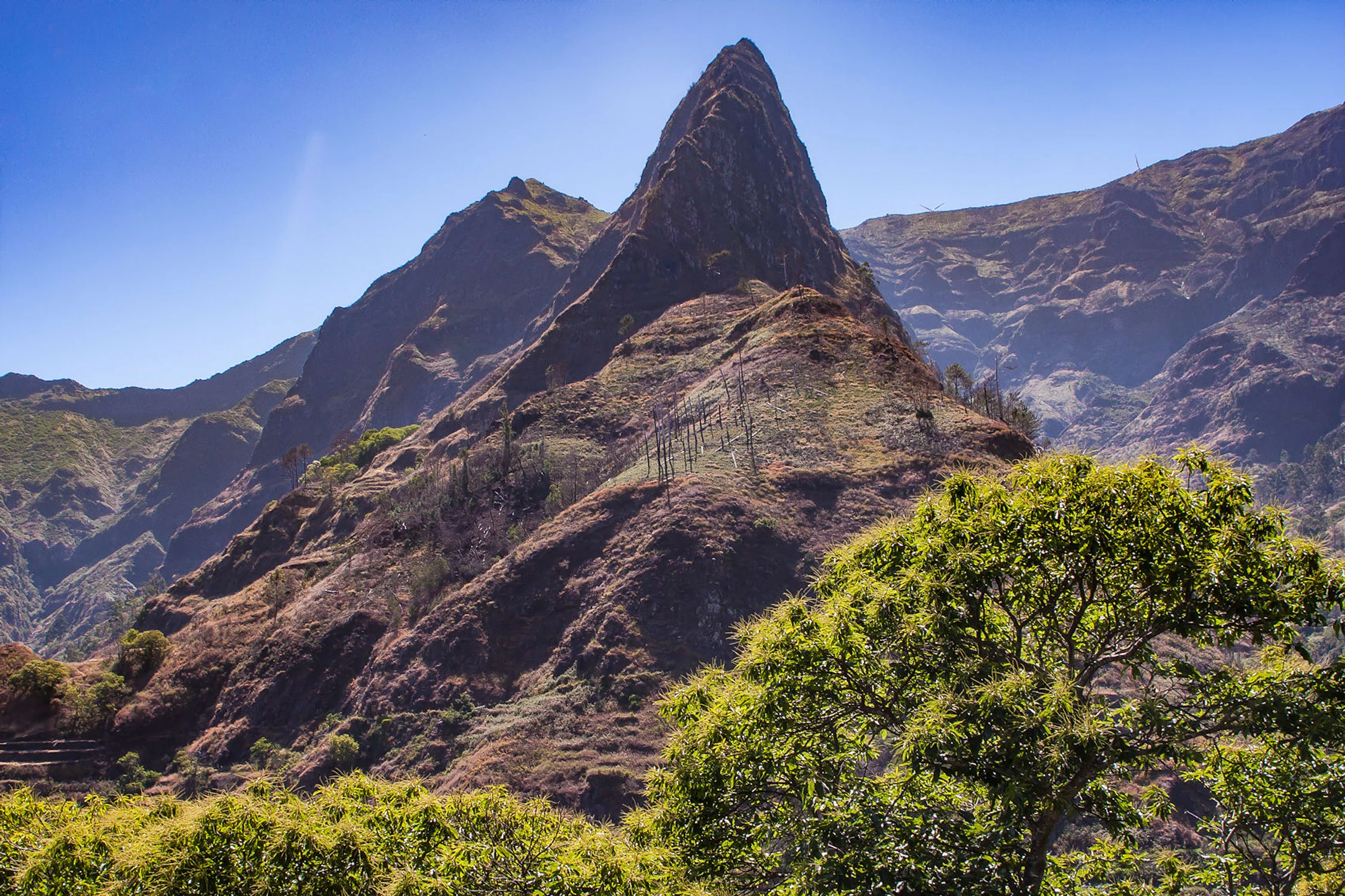 Madeira 