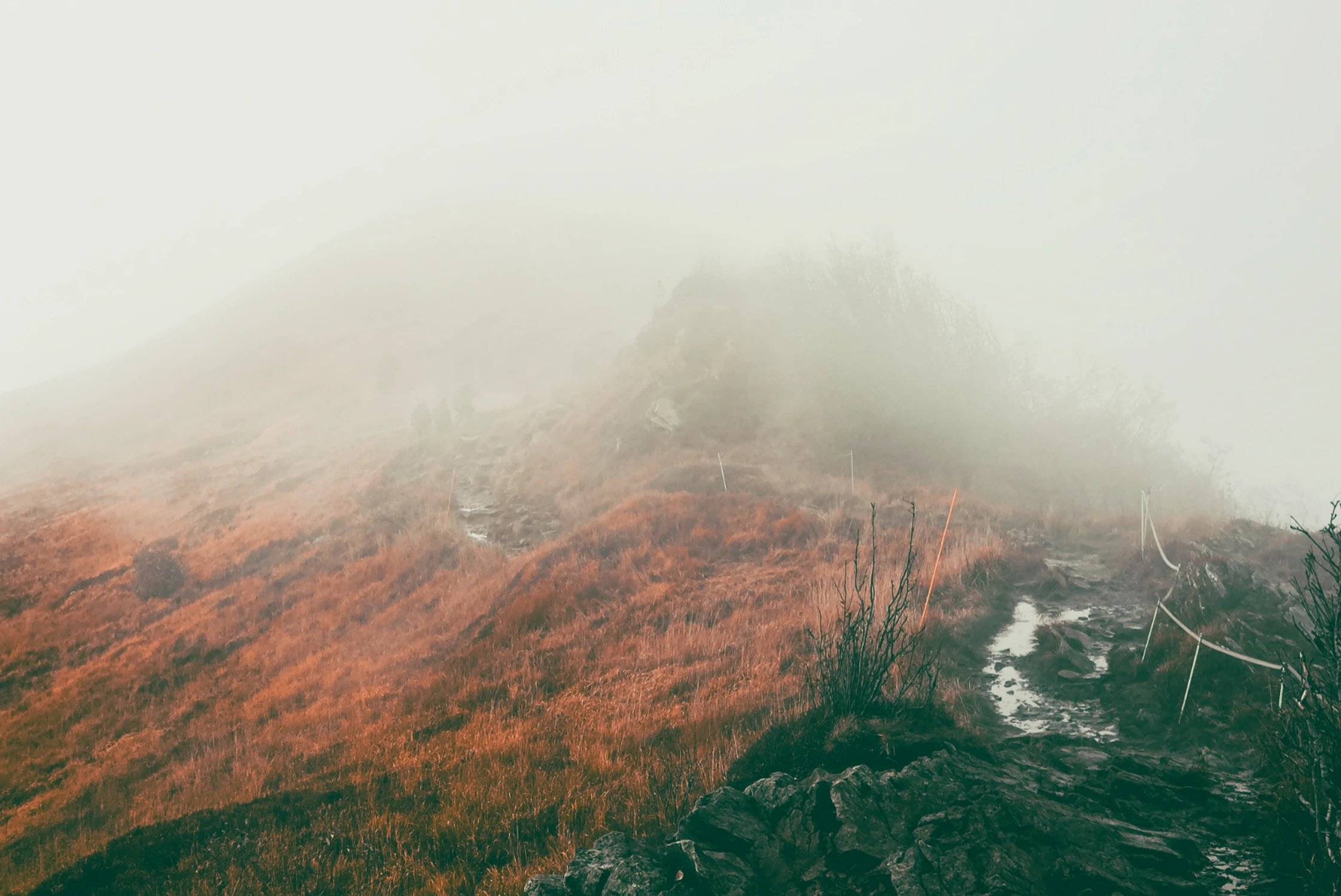 "...Dopóki sił będę szedł, będę biegł ..."