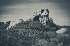 Krzyk kamienia -Hiob