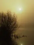 Nad wodą 