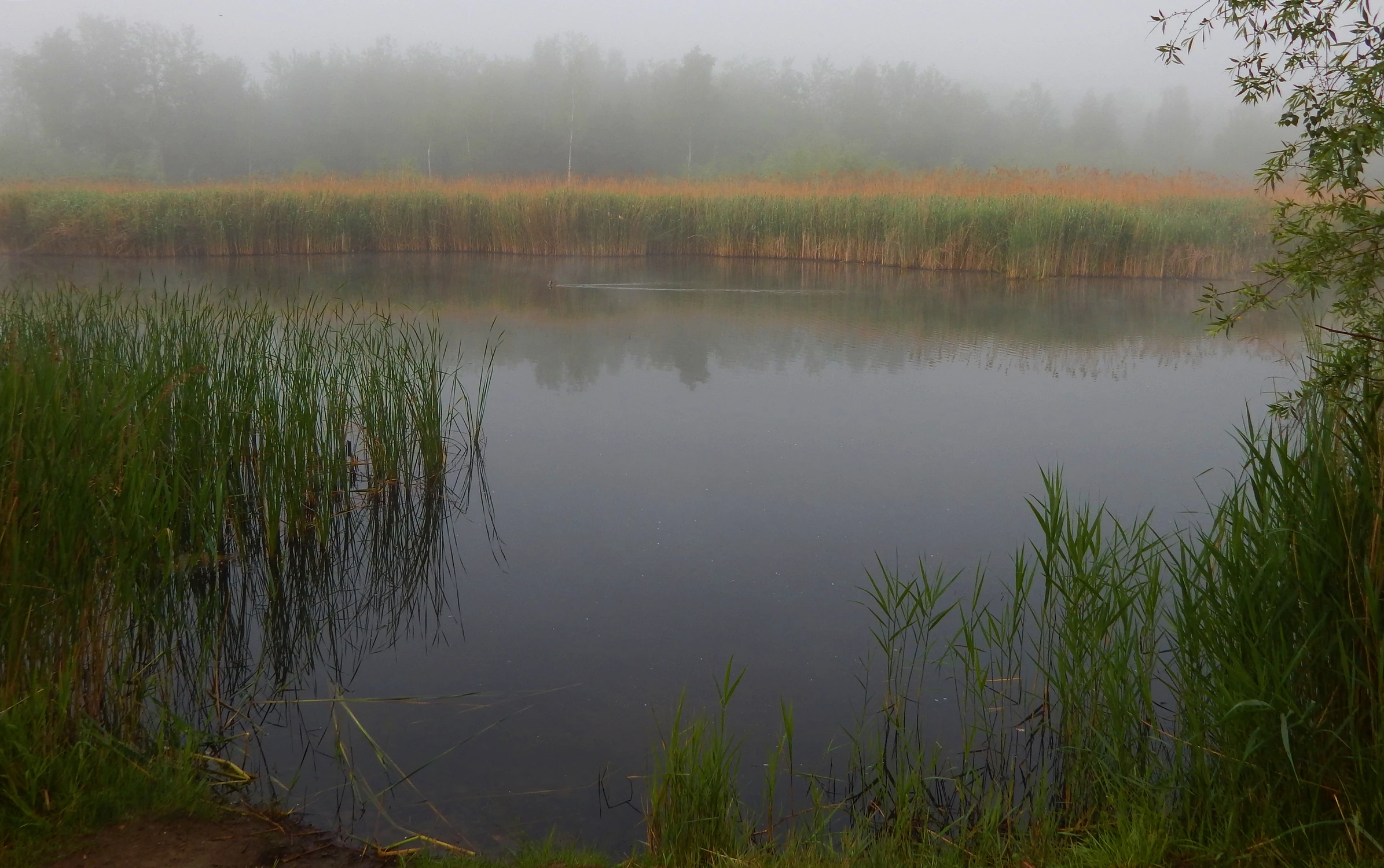 Nad wodą 