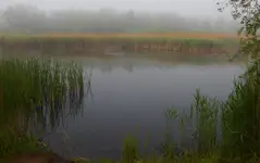 Nad wodą 