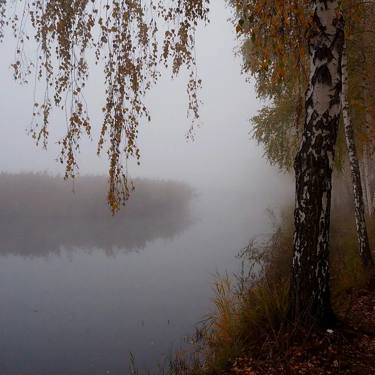 Nad wodą 