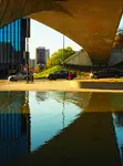 Miasto 