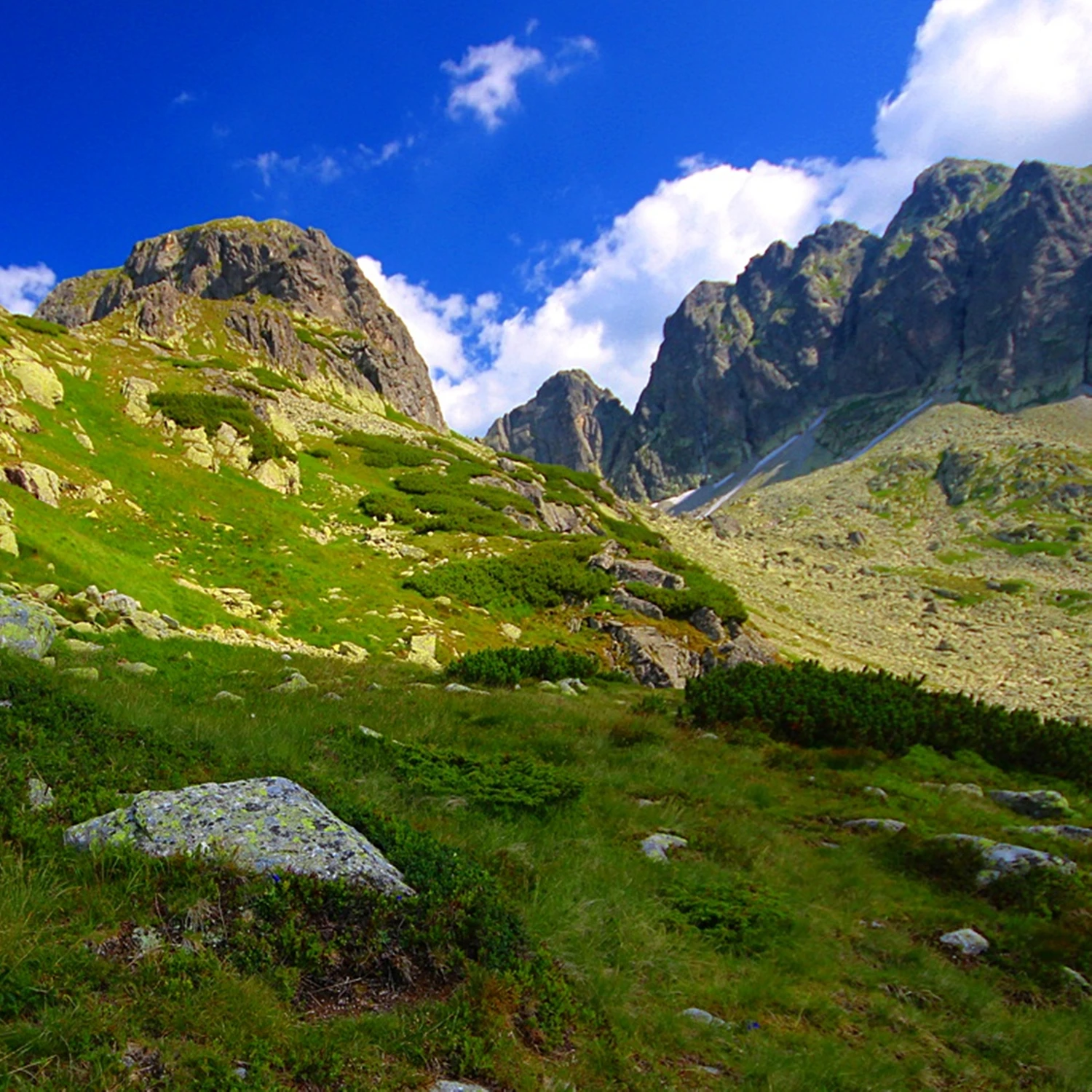 Tatry