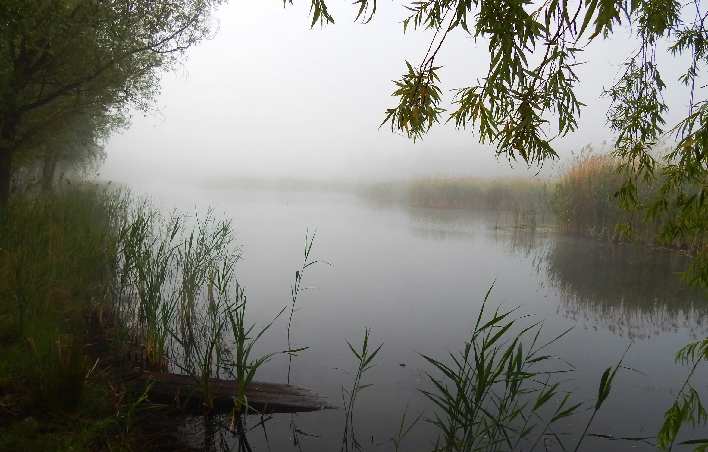 Cisza nad wodą 