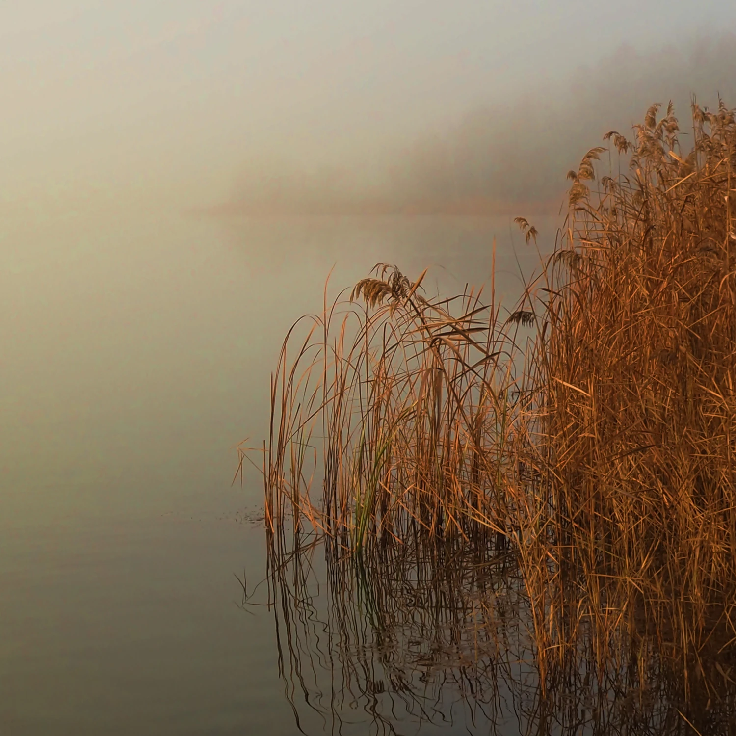 Nad wodą 