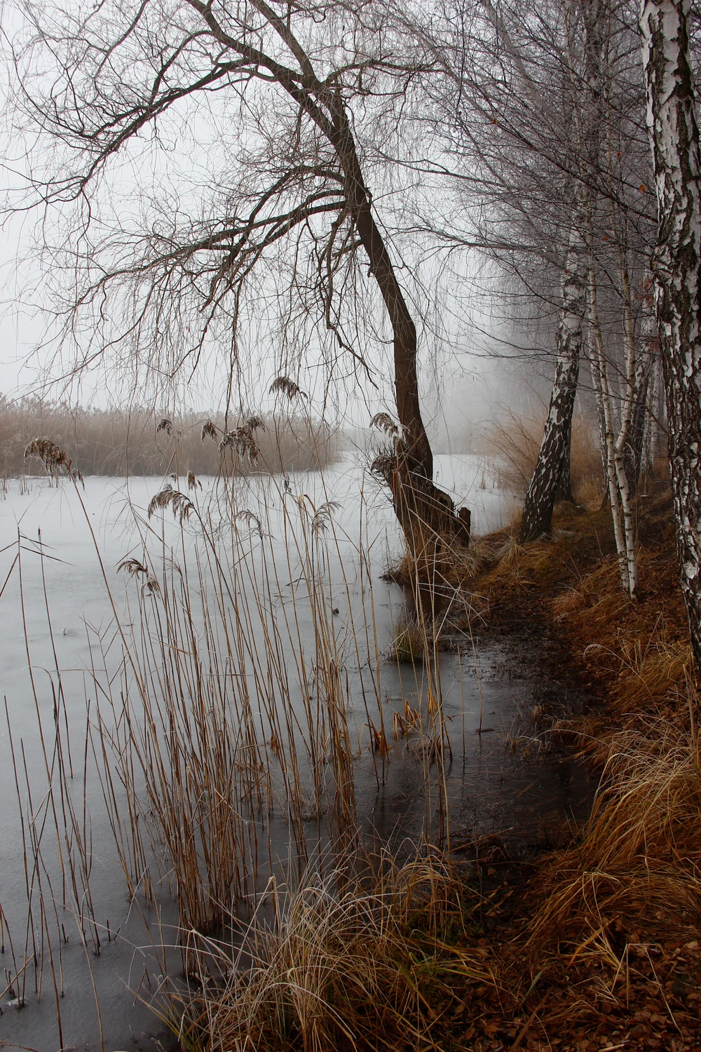 Nad wodą 