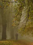 Tajemnicza postać 