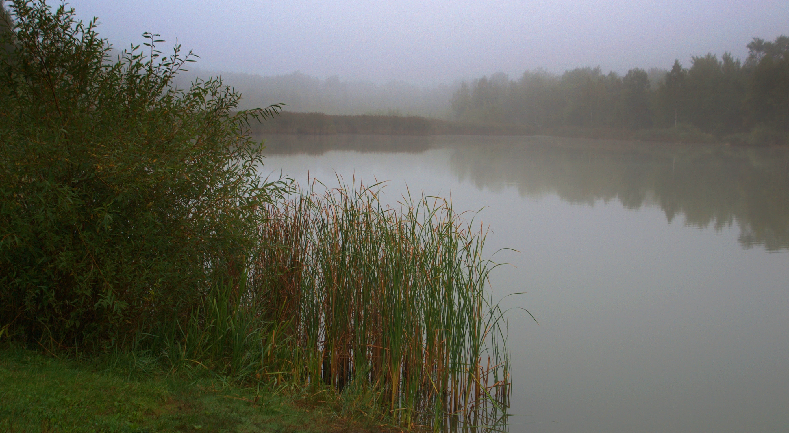 Nad wodą 