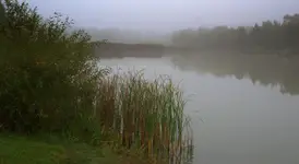 Nad wodą 