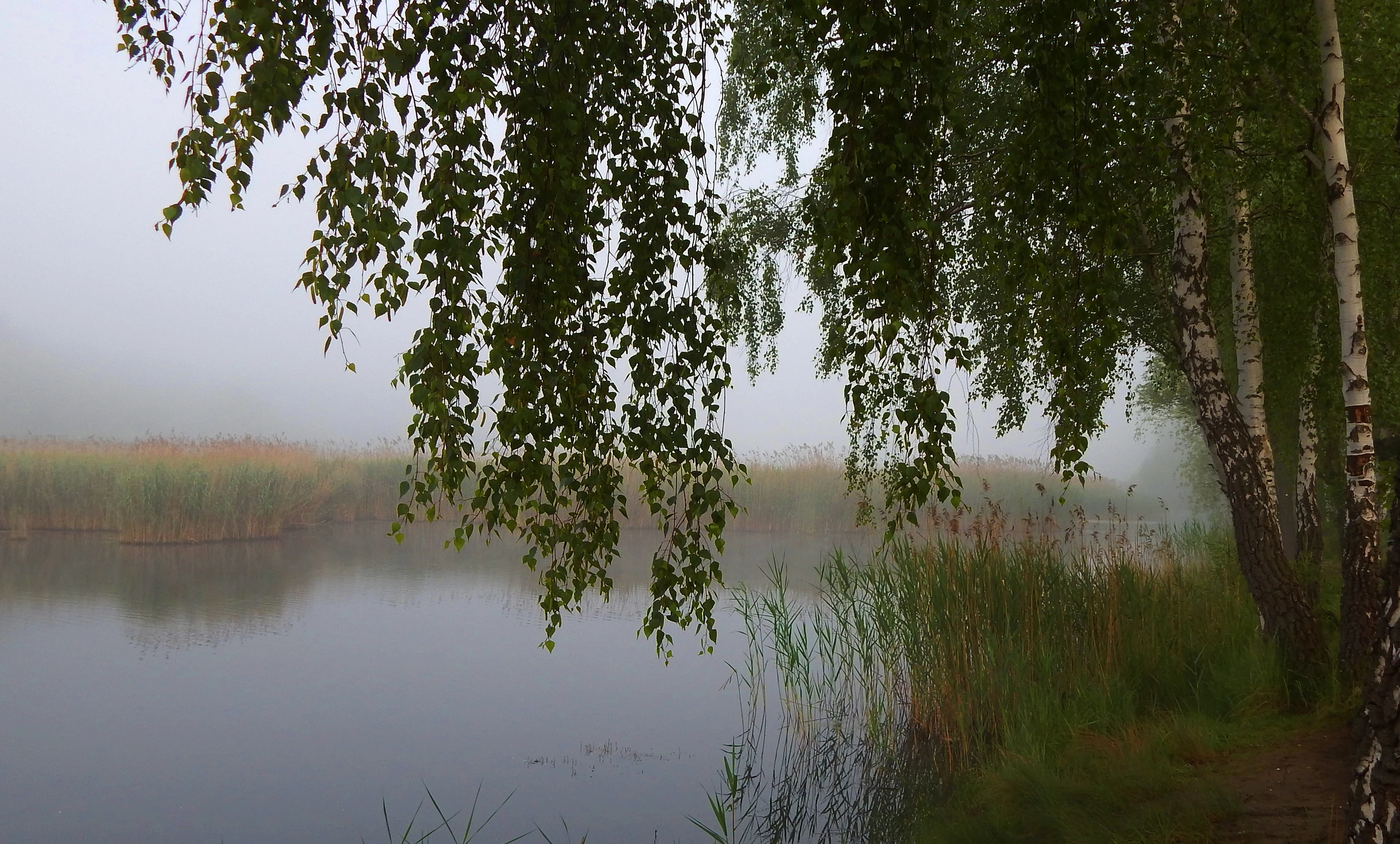 Nad wodą 