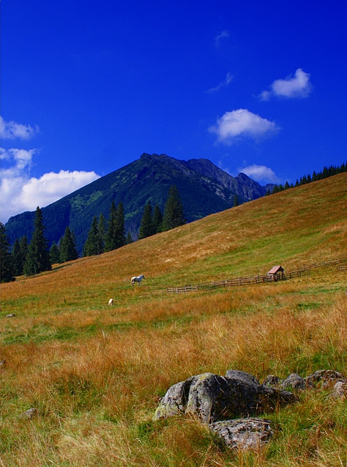 Tatry