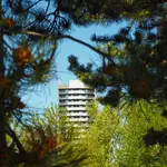 A za drzewem-miasto