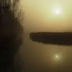 Świt