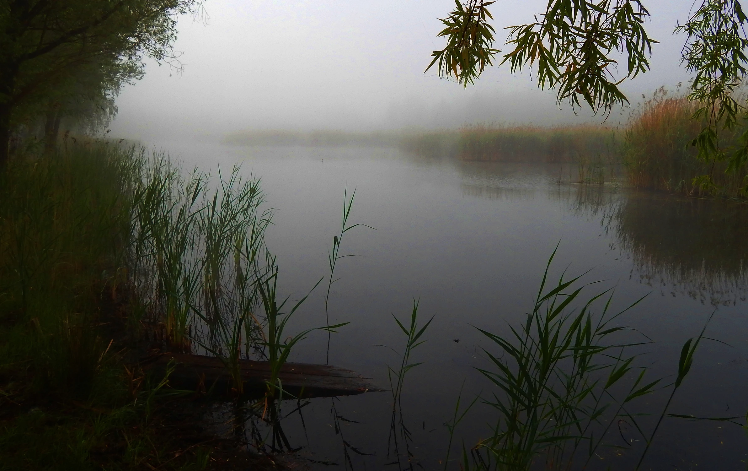 Nad wodą 
