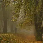 Jesienny spacer we mgle 2