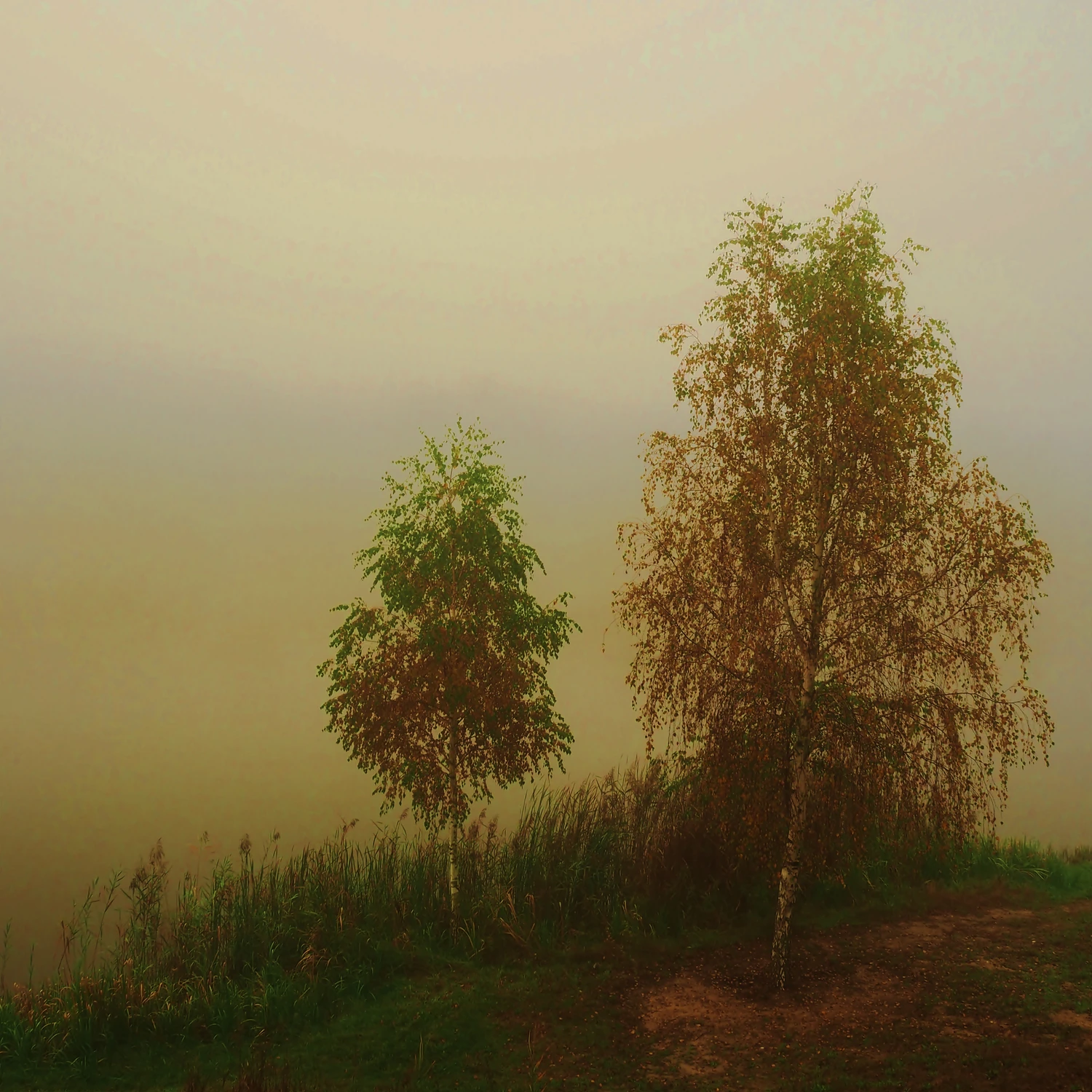 Poranek nad wodą 