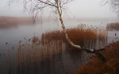 Nad wodą 