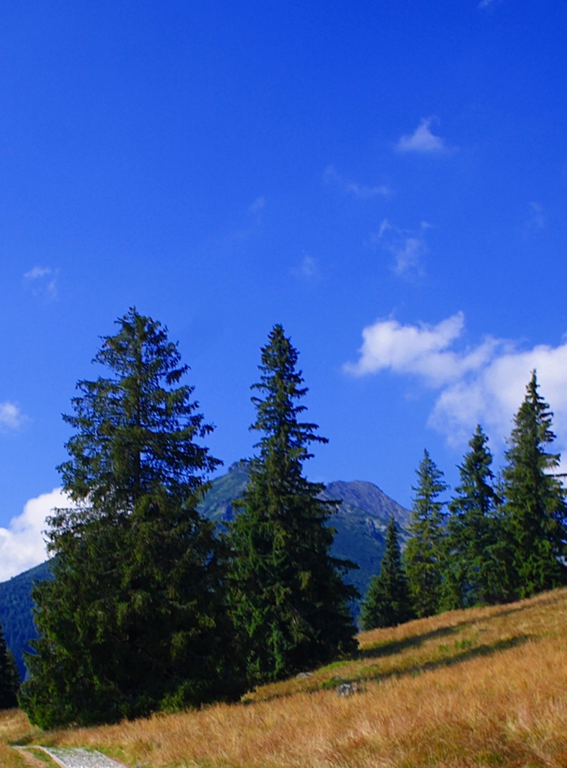 Tatry