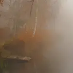 O świcie..