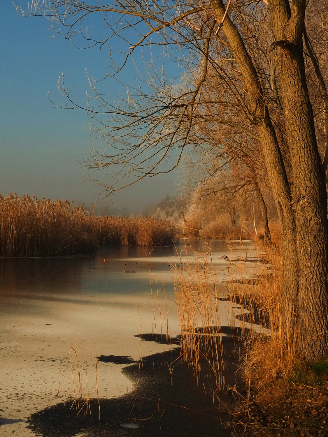 Nad wodą 