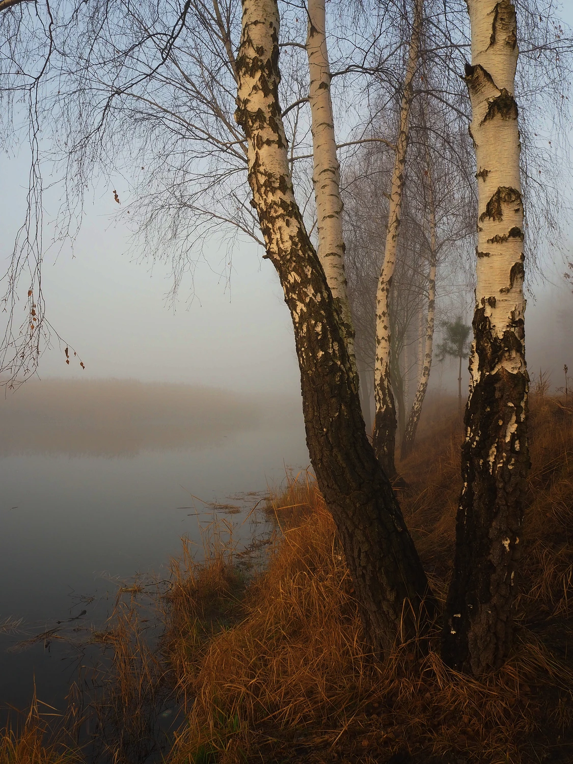 Nad wodą 