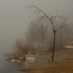 Nad wodą 