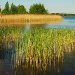 Nad wodą 