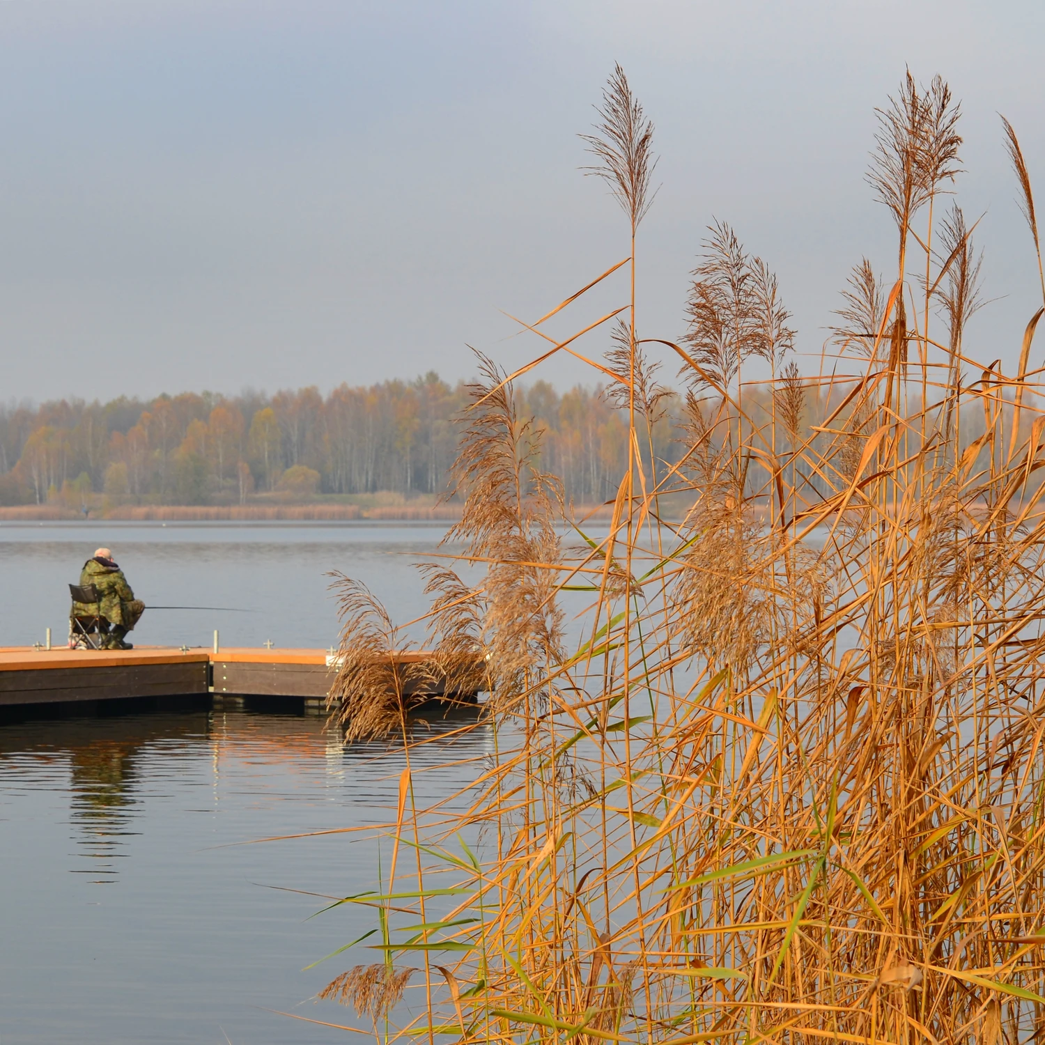 Nad wodą 