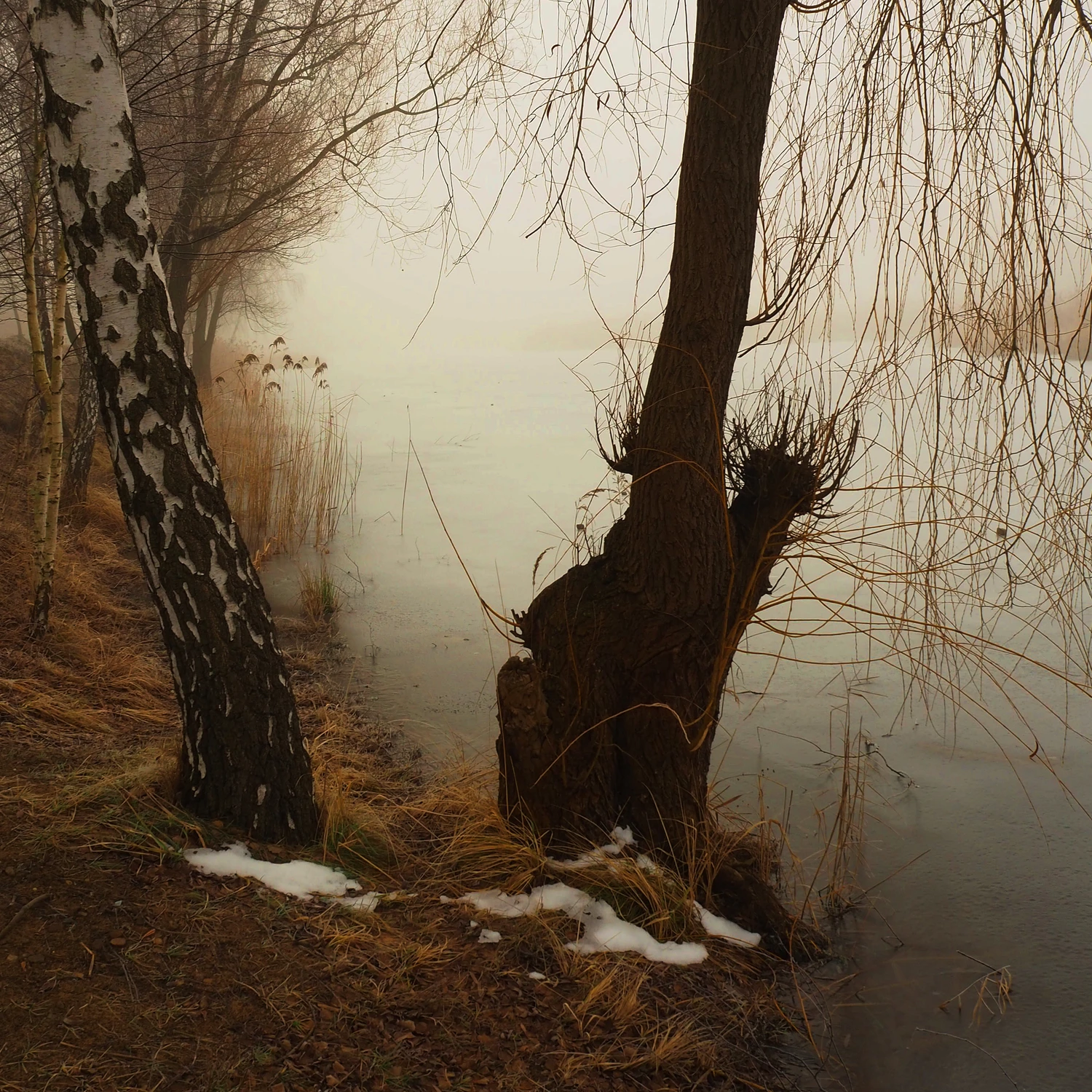 Pierwsze oznaki zimy