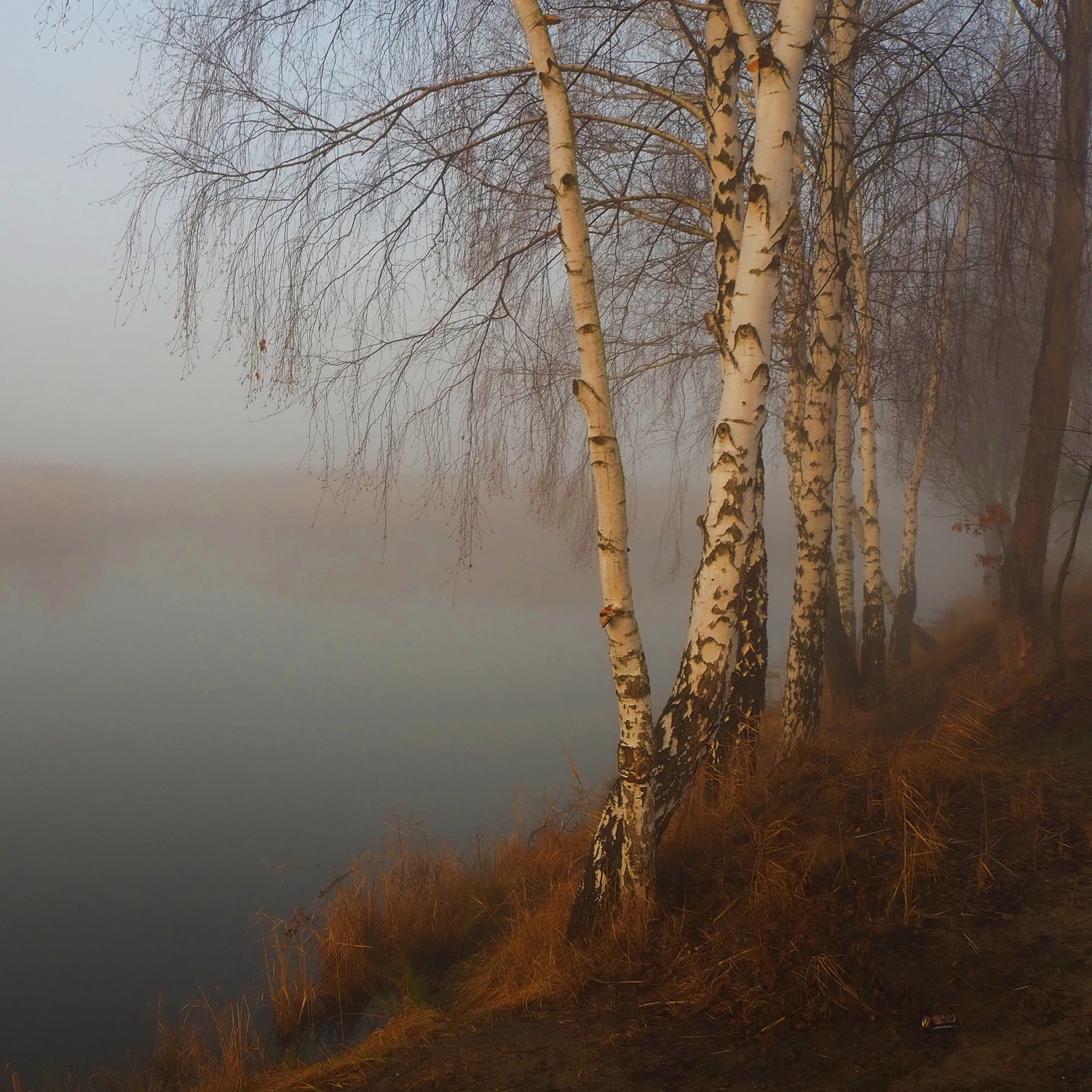 Nad wodą 