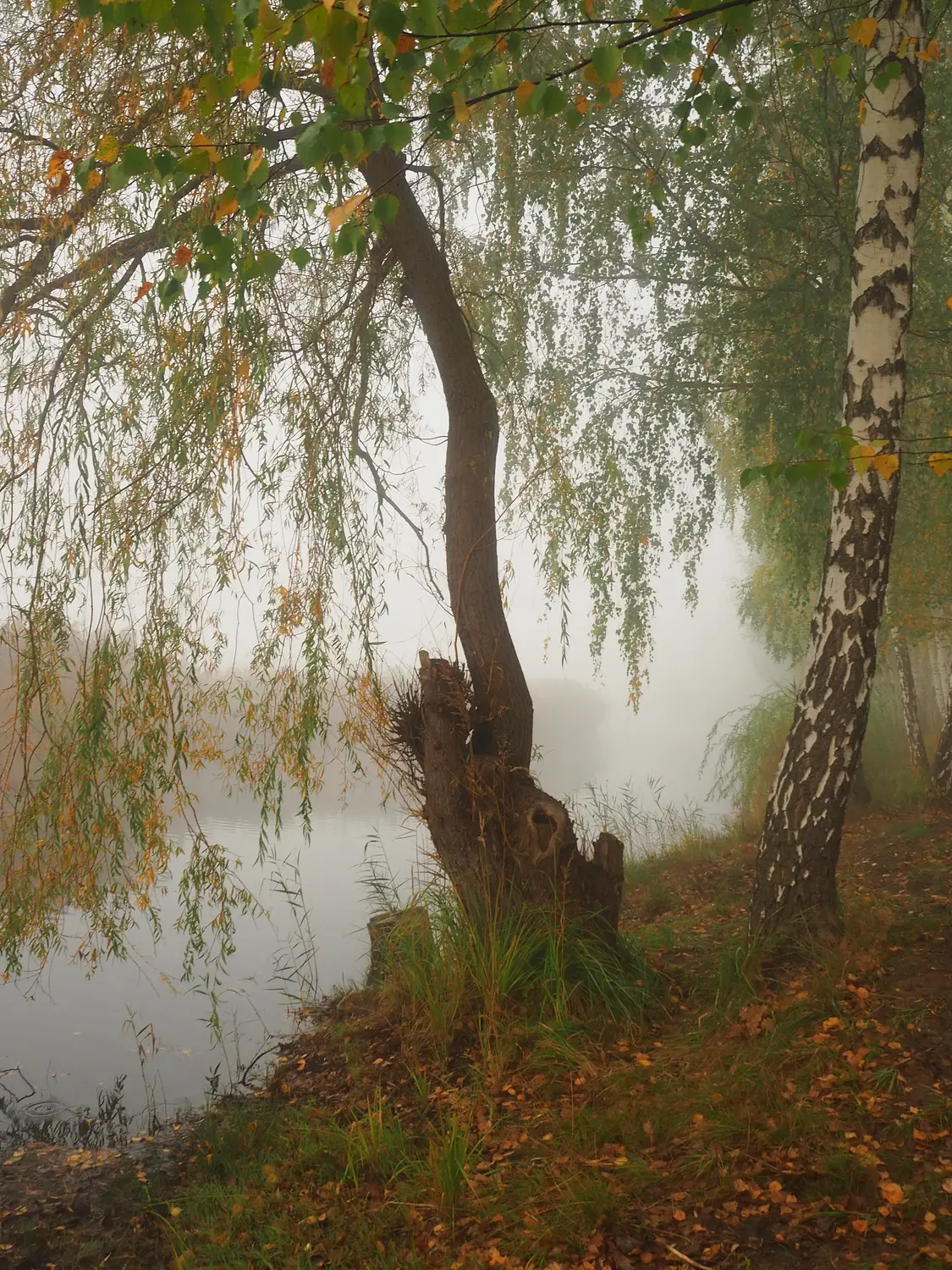 Nad wodą 