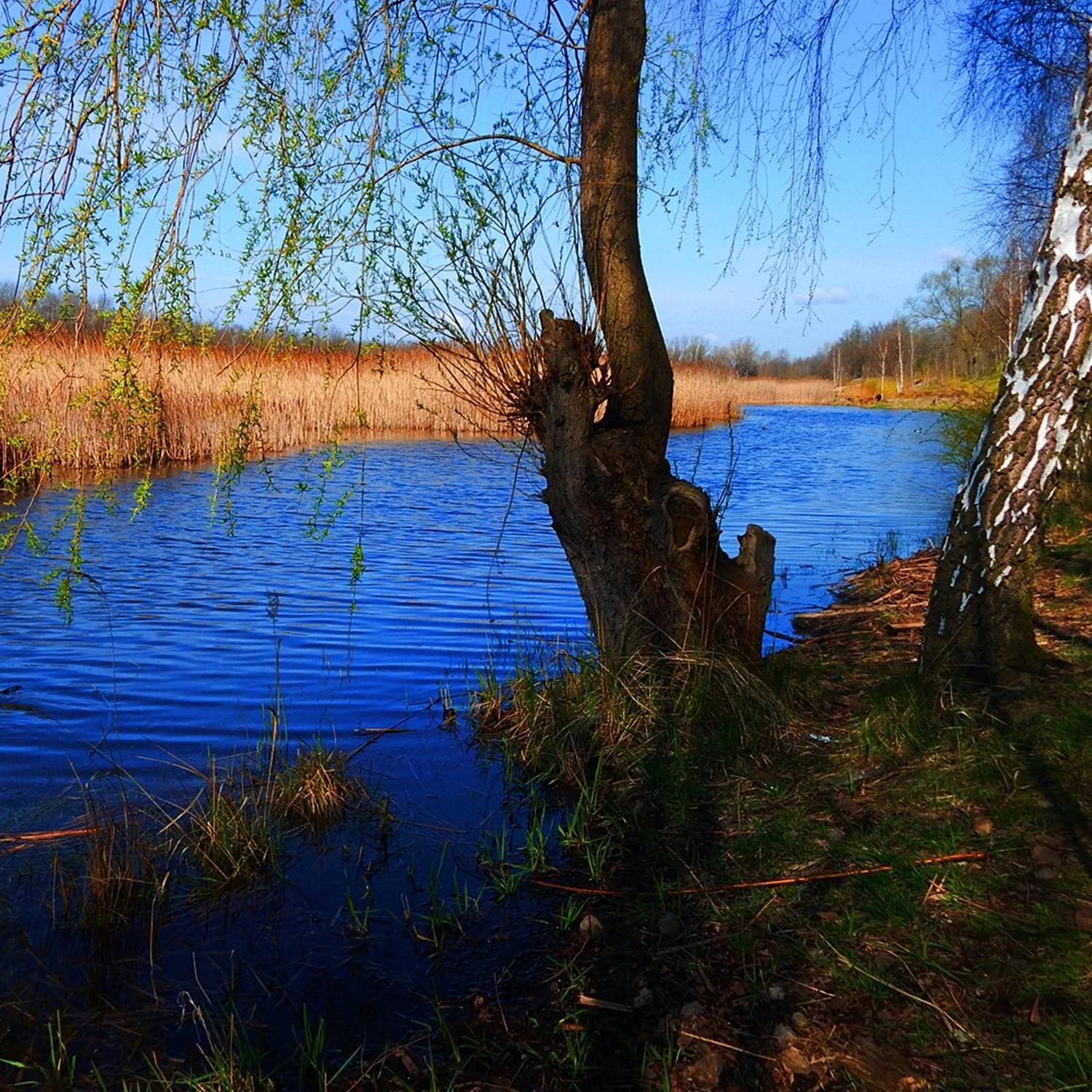 Nad wodą 