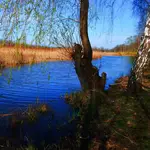Nad wodą 