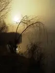 -**-