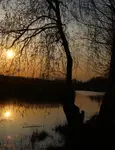 Wieczorową porą 
