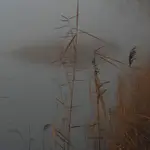 Delikatność przyrody..