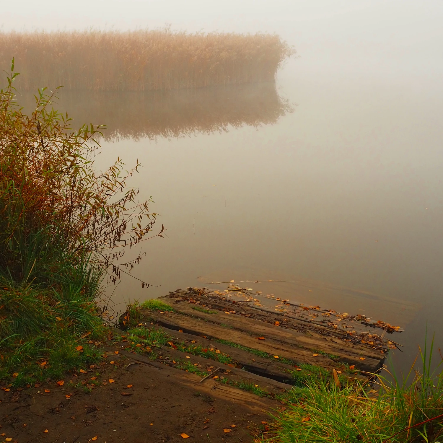 Nad wodą 