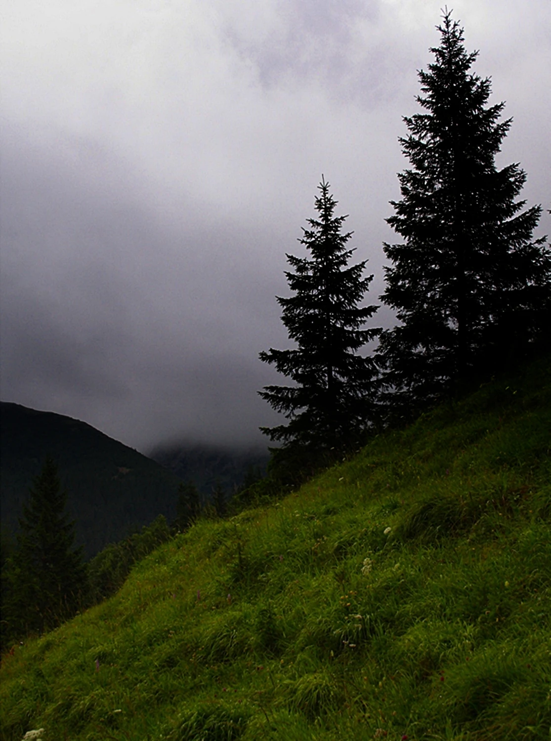 Tatry 