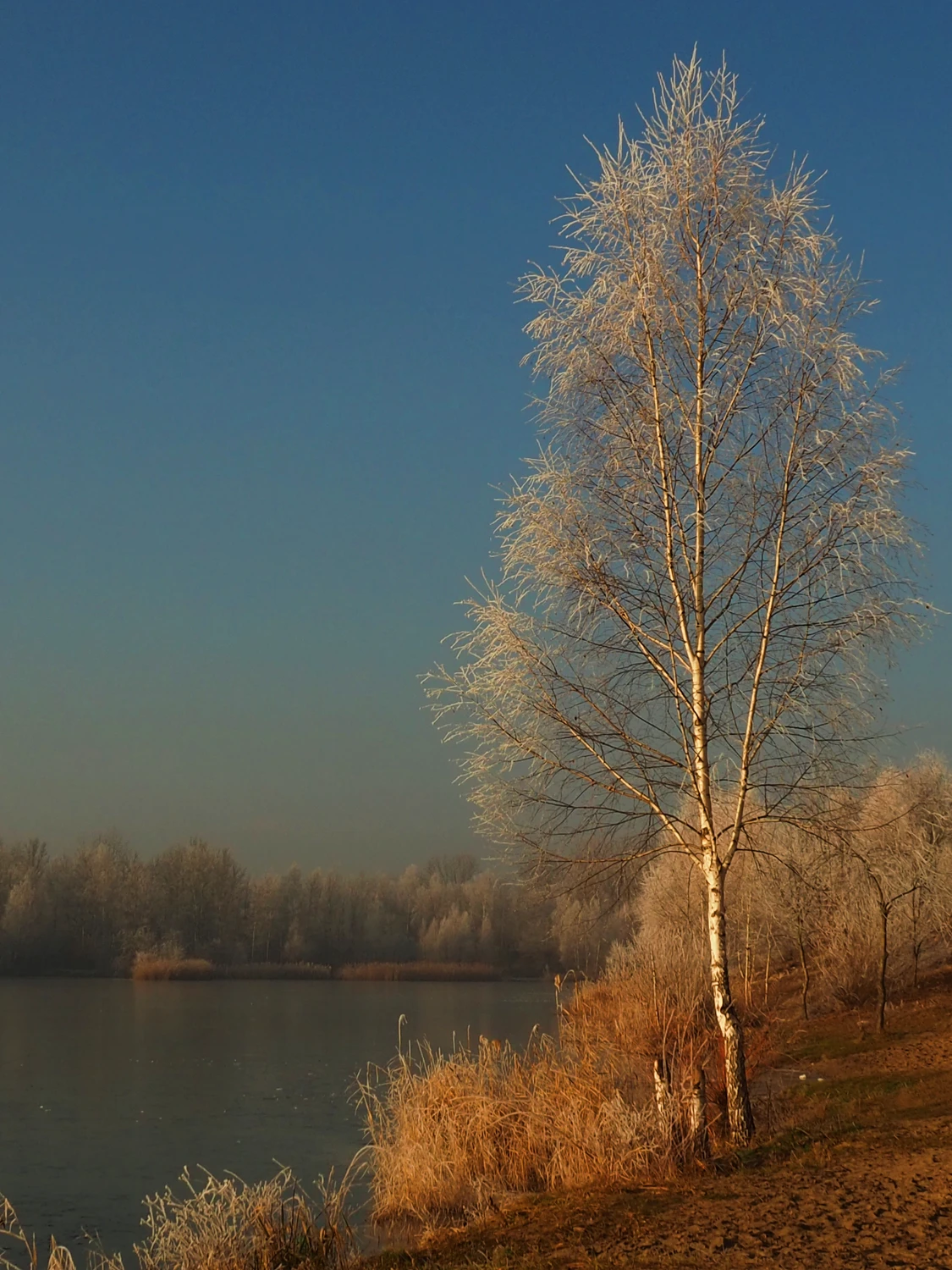 Nad wodą 